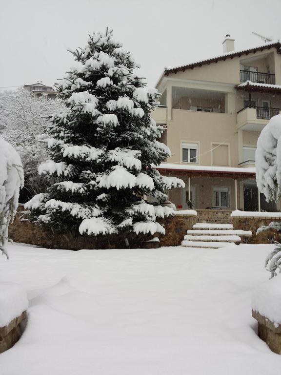 Xenonas Ioanni Parcha Hotel Levídhion Buitenkant foto